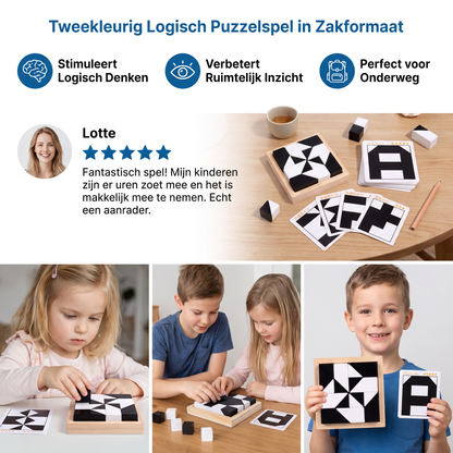 Tweekleurig Logisch Puzzelspel in Zakformaat