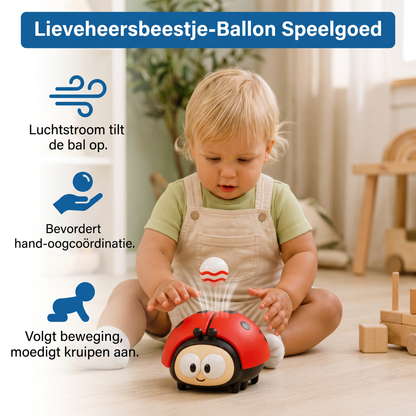 Lieveheersbeestje-Ballon Speelgoed Voor Baby's