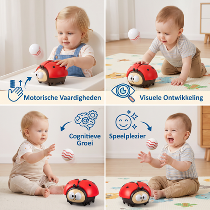 Lieveheersbeestje-Ballon Speelgoed Voor Baby's