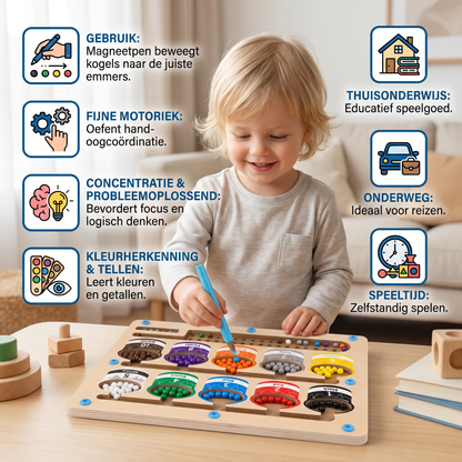 Montessori magneetlabyrint