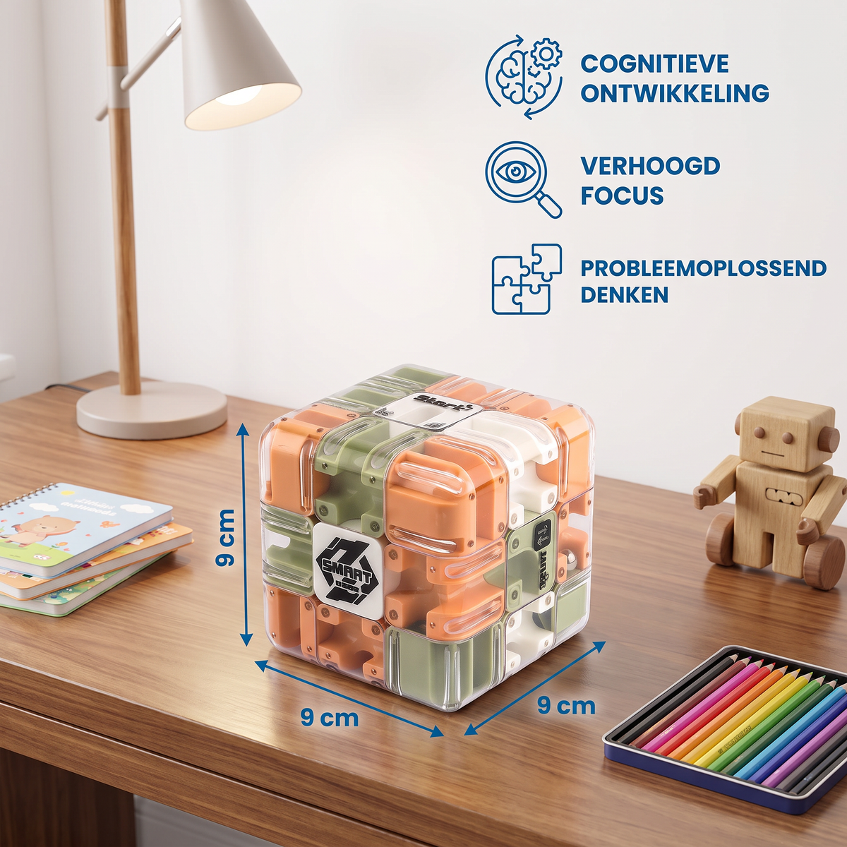 3D Doolhofpuzzel Kubus