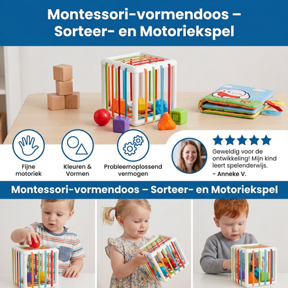 Montessori-vormendoos – Sorteer- en Motoriekspel