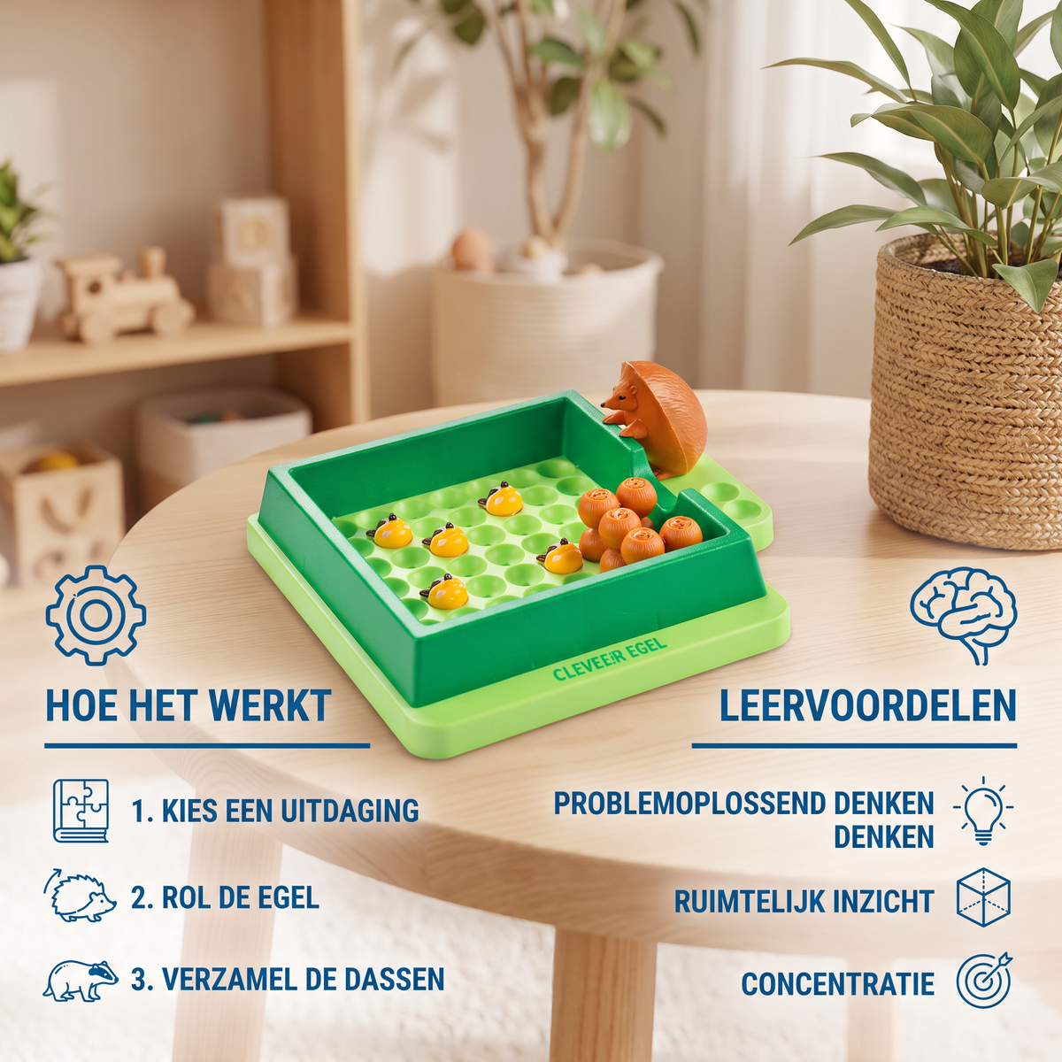 Slimme egel – Educatief leer- en Puzzelspel voor Kinderen