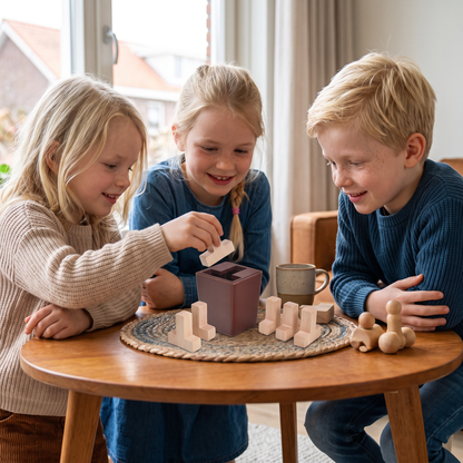 3D houten Logicapuzzel & Vormpuzzel